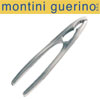 montini guerino